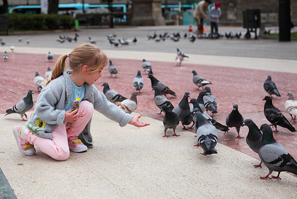 Little girl feeding doves on the square