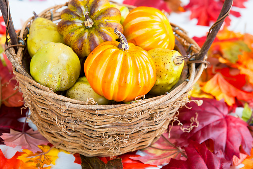 Brown basket filled with assortment of small pumpkins on front porch.