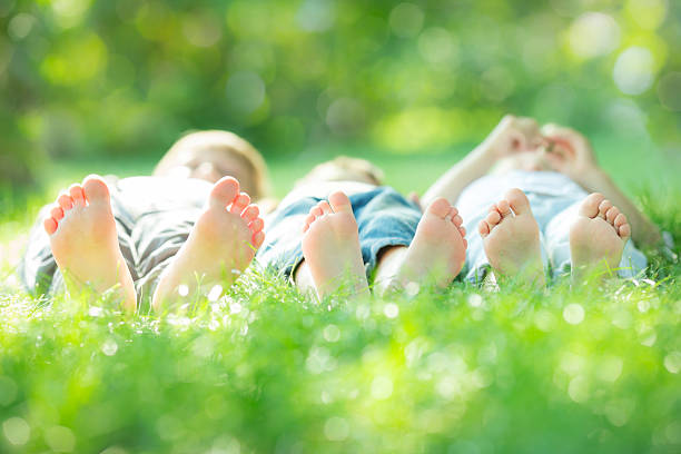 istock Family lying on green grass 162437744