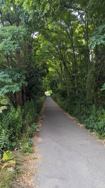 istock Bike riding through the city 1624390230