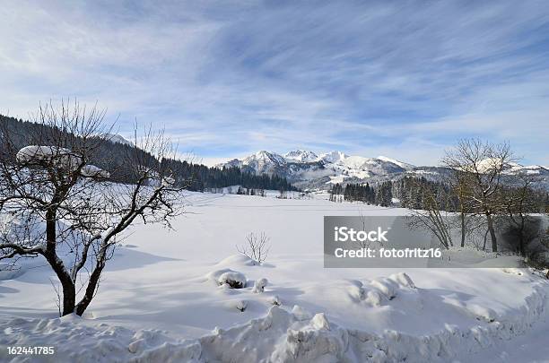 Austria Alto Adige - Fotografie stock e altre immagini di Alpi - Alpi, Ambientazione esterna, Austria