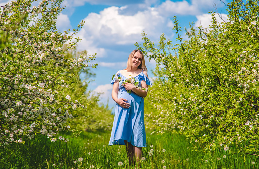 Pregnant woman in the garden of flowering apple trees. Selective focus. Nature.