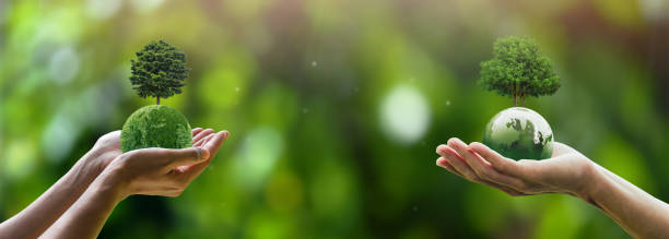istock world environment day conserve the ecosystem Save the planet with CSR, ESG, NET ZERO concept in hand with globe and tree over green background. Environmental sustainability, save the planet 1624431691