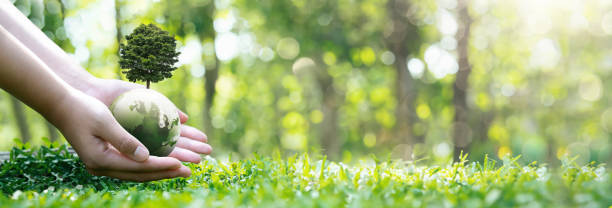 sustainable environment concept Human hand holding green globe with growing tree, save our planet, world environment day Sustainable environment of the world. copy space