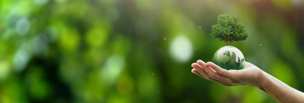 istock sustainable environment concept Human hand holding green globe with growing tree, save our planet, world environment day Sustainable environment of the world. copy space 1624431693