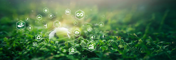 Environment. Crystal ball on moss in green forest. there is a symbolic icon Inclusive Environment, Ecology, Earth Day, Forest Conservation, CSR, ESG, NET ZERO