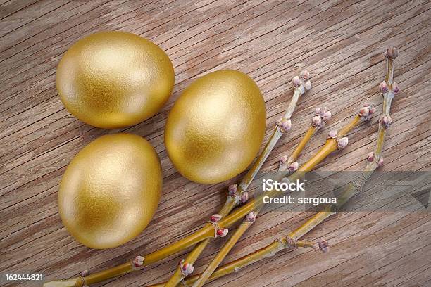 Three Gold Eggs And Spring Branch At Easter Stock Photo - Download Image Now - Animal Egg, Animal Nest, Bird's Nest