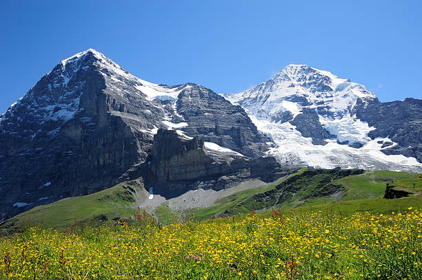istock Jungfrau with yellow flower 162444980