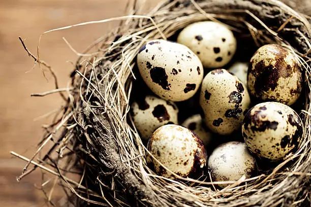 Few eggs in a bird nest.. *Shallow depth of field.
