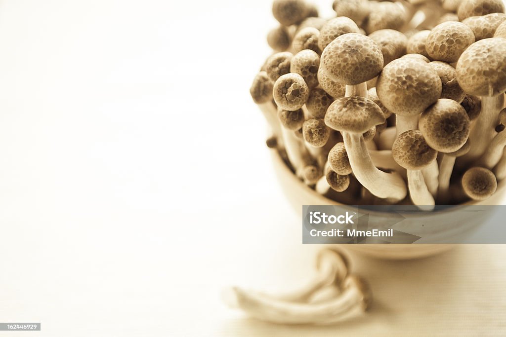 Shimeji Mushrooms Edible mushrooms: Shimeji. Bowl Stock Photo