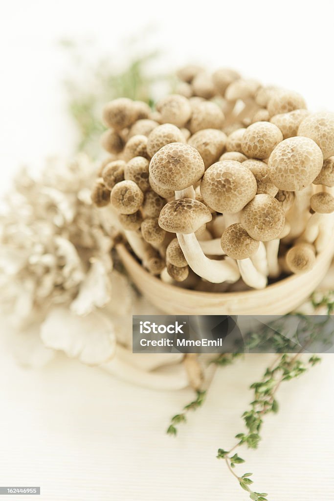 Funghi - Foto stock royalty-free di Alimentazione sana