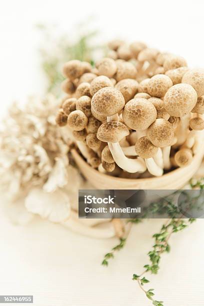 Funghi - Fotografie stock e altre immagini di Alimentazione sana - Alimentazione sana, Alimento di base, Brown Beech Mushroom