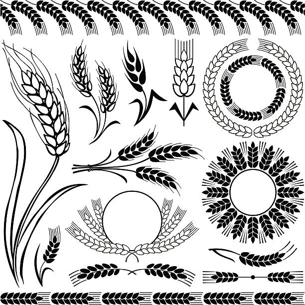 illustrazioni stock, clip art, cartoni animati e icone di tendenza di silhouette di grano - corn corn crop corn on the cob food