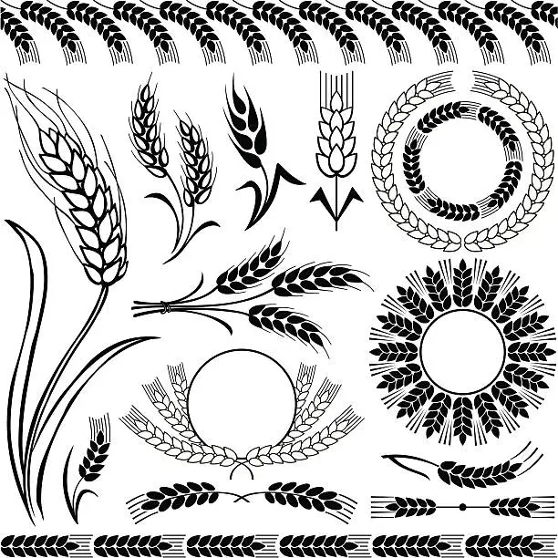 Vector illustration of Silhouettes of wheat