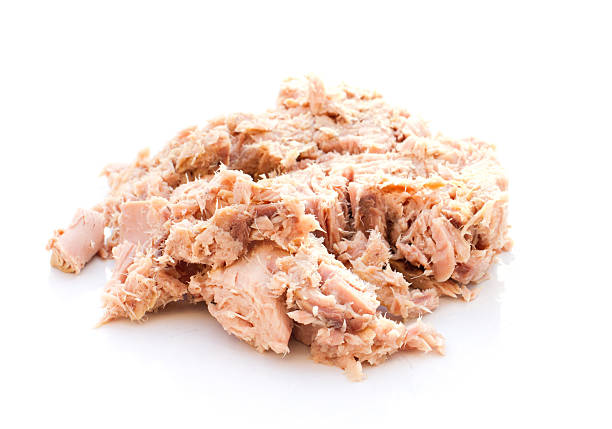 istock tuna flakes in oil on a white plate 162449622