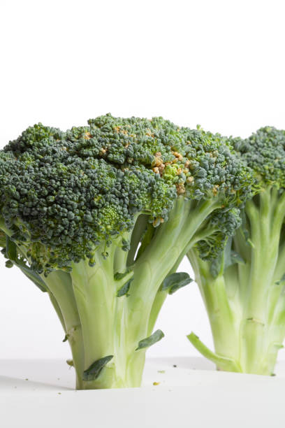 Two heads of broccoli on a white background Cabbage looks like trees. Several succulent branches of green broccoli with dense clusters of small buds. The common trunk stands vertically on an even cut. Around white background broccoli crowns stock pictures, royalty-free photos & images