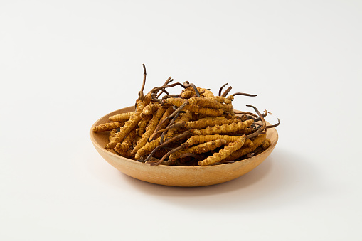 Dried Cordyceps Sinensis contained inside a wooden dish. White background. Cordyceps is often used as a natural energy booster