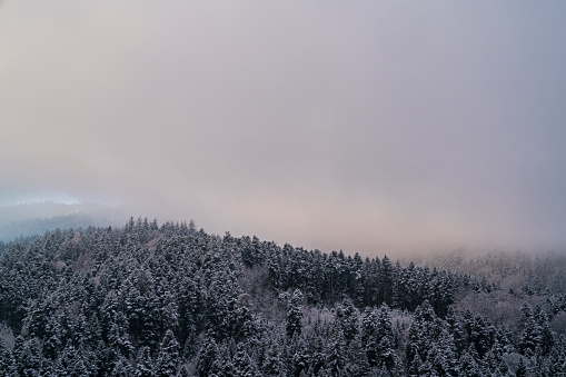 Germany, Snowy trees endless black forest schwarzwald nature landscape panorama aerial view above tree tops near freiburg im breisgau