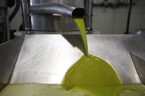 Freshly extracted extra virgin olive oil