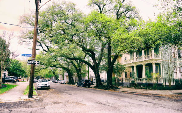 Residential buildings, New Orleans, Louisiana, USA. Toned Image.