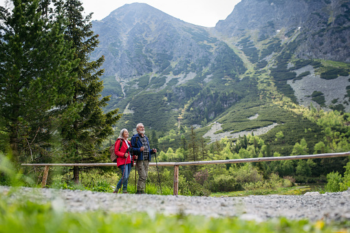 Active elderly couple hiking together in autumn mountains, on senior friendly trail. Husband and wife getting rest during hike, enjoying nature. Senior tourist with backpack using trekking poles for stability.
