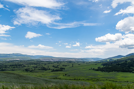 View of Lamar Valley - a popular wildlife watching location in Yellowstone National Park.