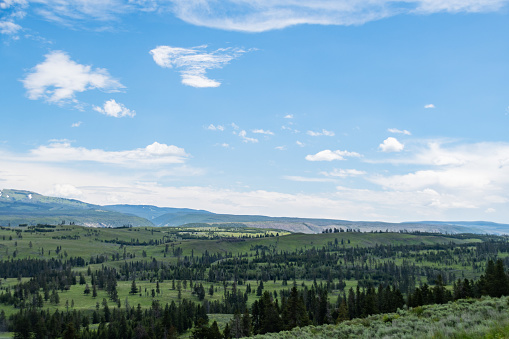The vast plains of Yellowstone National Park with blue skies and green grass in summer.
