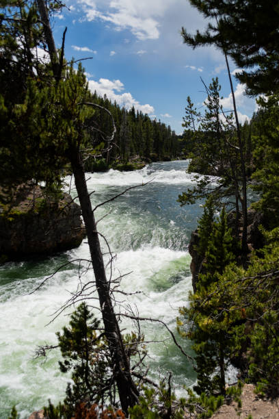 la rivière roarring yellowstone et les cascades dans le parc national de yellowstone - eroded water grand canyon of yellowstone river river photos et images de collection