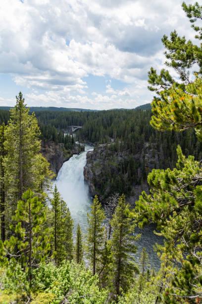 la rivière roarring yellowstone et les cascades dans le parc national de yellowstone - eroded water grand canyon of yellowstone river river photos et images de collection