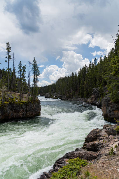 la rivière roarring yellowstone et les cascades dans le parc national de yellowstone - eroded water grand canyon of yellowstone river river photos et images de collection