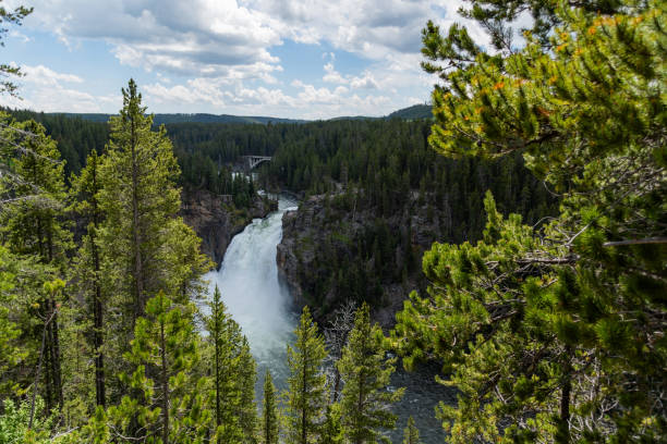 la rivière roarring yellowstone et les cascades dans le parc national de yellowstone - eroded water grand canyon of yellowstone river river photos et images de collection