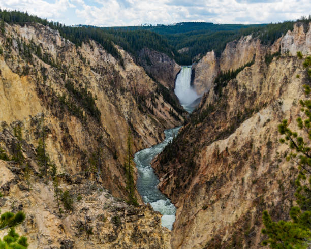 grand canyon of the yellowstone artist point in summer - lower falls imagens e fotografias de stock