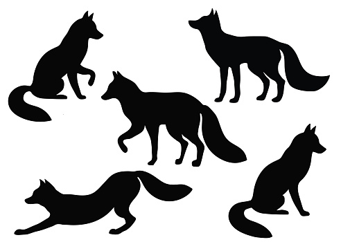 Set fox silhouette on white background, vector illustration.