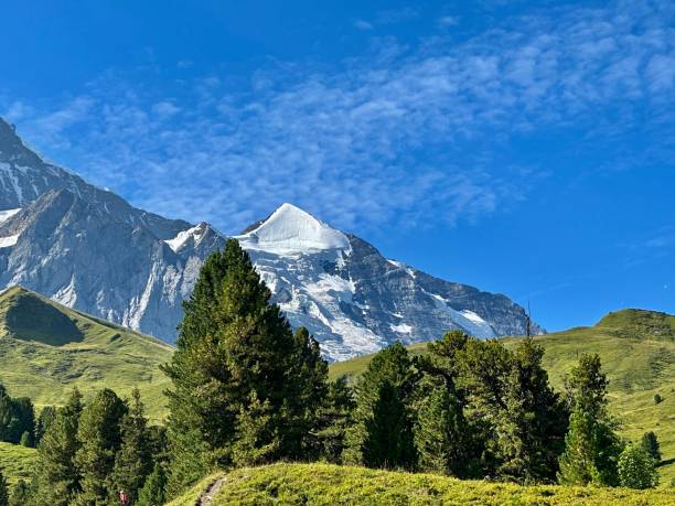 istock Scenic view of Celebdil 1624806326