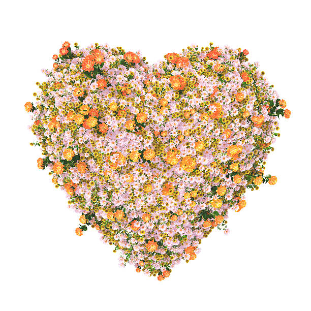 istock heart with colorful flowers 162486037