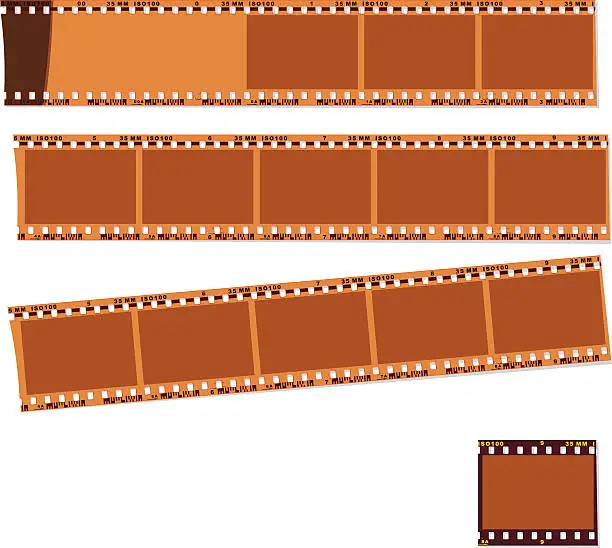 Vector illustration of negative film and slide