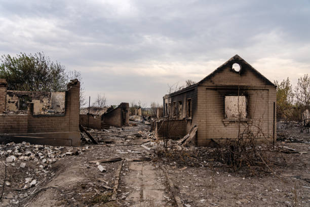 istock Dramatic landscape in the village after the fire 1624873340