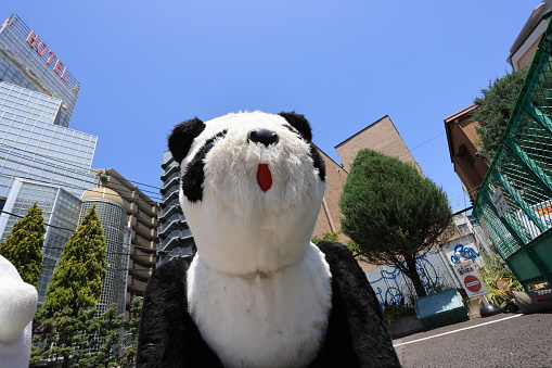 Tokyo May 3 2023: panda car in Tokyo, in Hanayashiki, Hanayashiki is one of oldest amusement park in Japan.