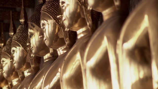 Golden yellow robed Buddha statues sitting in rows