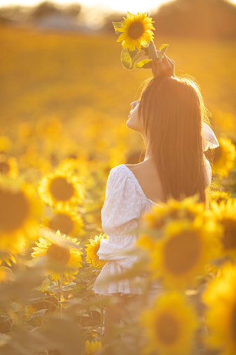 Beautiful young carefree woman wearing white dress and enjoying on sunflower field at summer.
