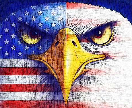 digital painting / raster illustration of bald eagle with USA flag