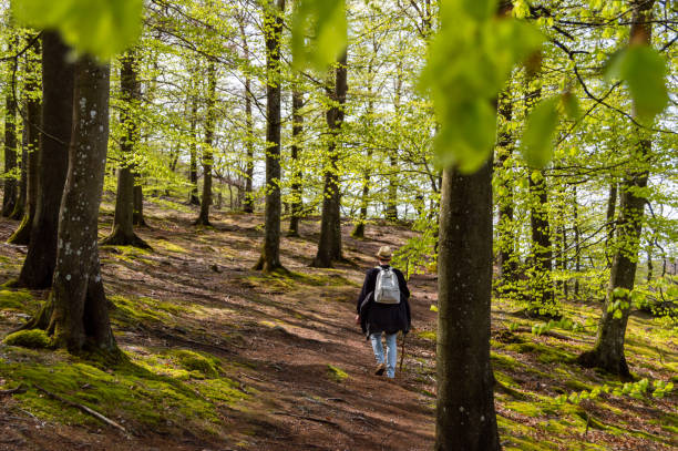 istock Tourist with stick and hat walking in the Park 1624923063