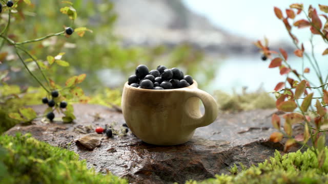 Blueberries in a Finnish wooden cup Kuksa on a background of mountains
