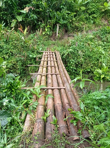 bamboo bridge, to cross the river connected to the house and garden. This photo was taken in the afternoon..