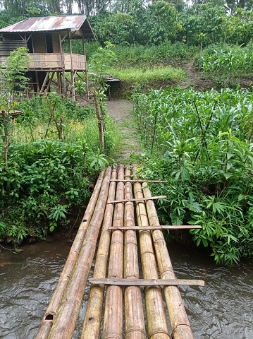 bamboo bridge, to cross the river connected to the house and garden. This photo was taken in the afternoon..