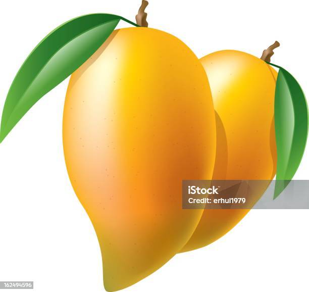 Ilustración de Mango y más Vectores Libres de Derechos de Mango - Fruta tropical - Mango - Fruta tropical, Vector, Fondo blanco