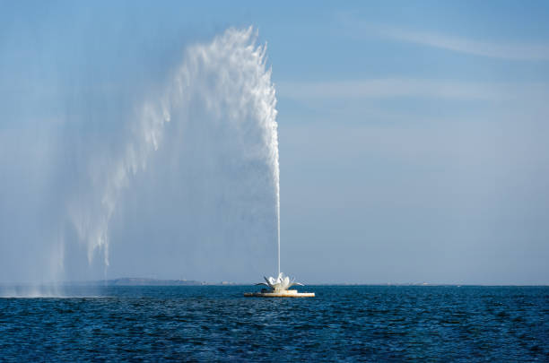 istock Fountain on the sea 1624968550