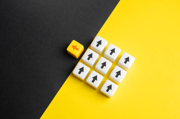 istock An attempt to lead in a new direction. 1624989955