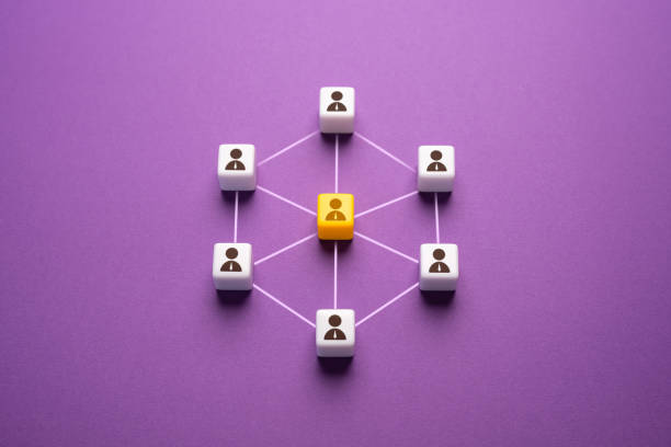 The connection of the leader and his employees in the team. Delegation of work, feedback. Distribution of inheritance. Project manager. Discipline and teamwork. Leadership and personnel management. delegating stock pictures, royalty-free photos & images