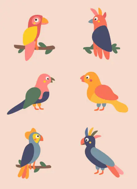 Vector illustration of cute set of colorful parrots